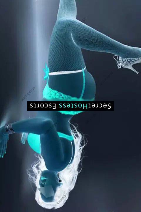 Carolina Paulsen Escort Stamford CT Image - 3