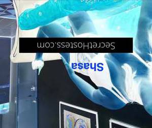 20 year old Thai Escort in Salisbury Adelaide captivating Lisy and Shasha Unforgettable Naughty Adventures