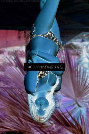 23 year old Escort in Limerick Limerick GFE, Bareback & Anal