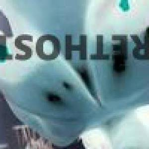 32Yrs Old Escort Reno NV Image - 3