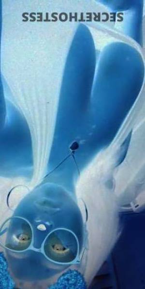 ChocolateMyah 25Yrs Old Escort Lancaster CA Image - 2