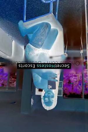 Lola 25Yrs Old Escort Boston MA Image - 2