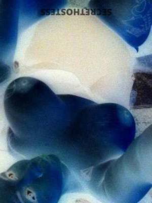 38 year old Latino Escort in Everett WA Savor every moment