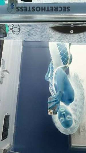 27 year old American Escort in Springfield IL Now Available. Call/Text for Info