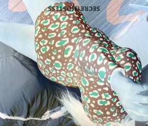Shea 24Yrs Old Escort New Orleans LA Image - 2