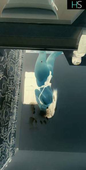 23Yrs Old Escort 165CM Tall Montreal Image - 1