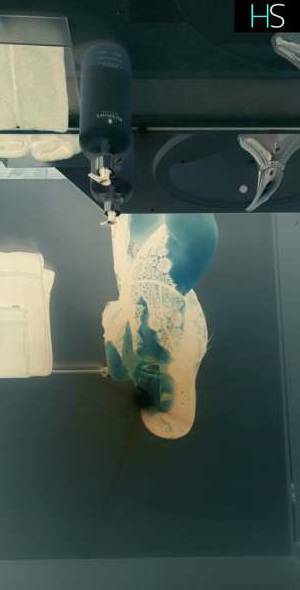 23Yrs Old Escort 165CM Tall Montreal Image - 2