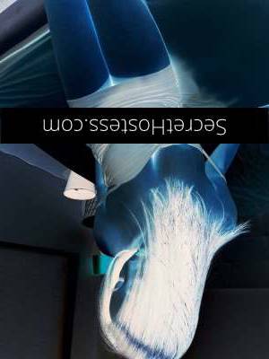 25 year old Asian Escort in Perth Nurturing Pleasure Sensual Asian Escort for Erotic 