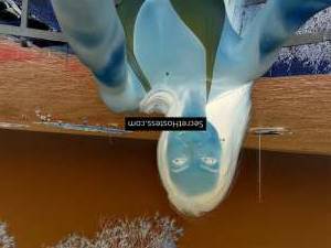 Anastasia 35Yrs Old Escort 55KG 170CM Tall Puerto Banus Image - 2