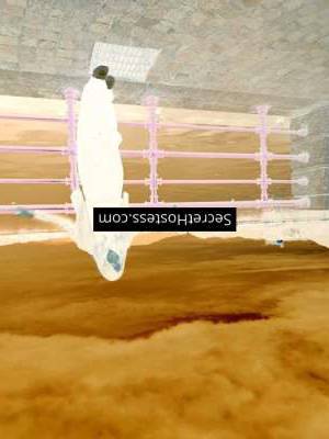 24 year old Caucasian Escort in Verona Carla Exquisite GFE