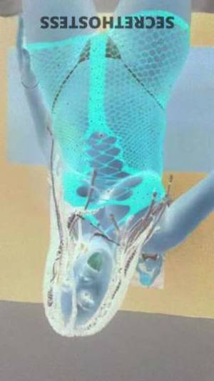 25 year old Latino Escort in Raleigh-Durham NC New Videos Outcall BJ In & Out Car Fun