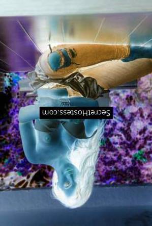 27 year old Caucasian Escort in Frankfurt Fernanda - Agency