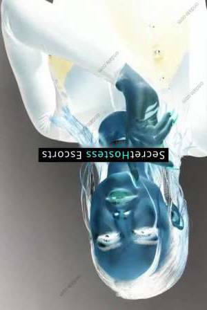 Lemon 24Yrs Old Escort 68KG 179CM Tall Frankfurt am Main Image - 5