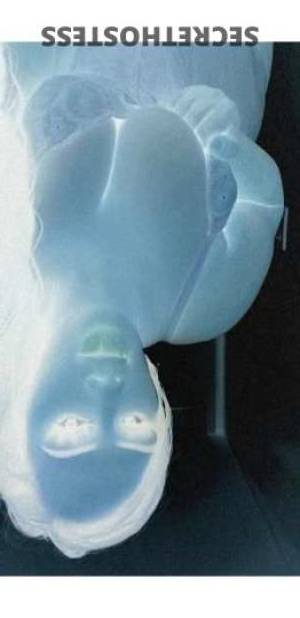 24 year old Escort in Charlotte NC Throat goat, outcalls/carplay