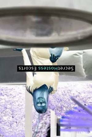 Monica 30Yrs Old Escort 55KG 170CM Tall Frankfurt am Main Image - 2