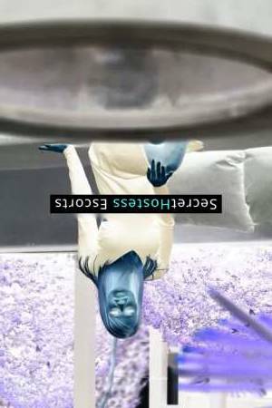 Monica 30Yrs Old Escort 55KG 170CM Tall Frankfurt am Main Image - 10