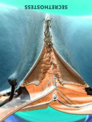 28 year old Escort in Staten Island NY on hold content - Pawg. Orgies, Tag Teams, FFM, Girl/Girl 