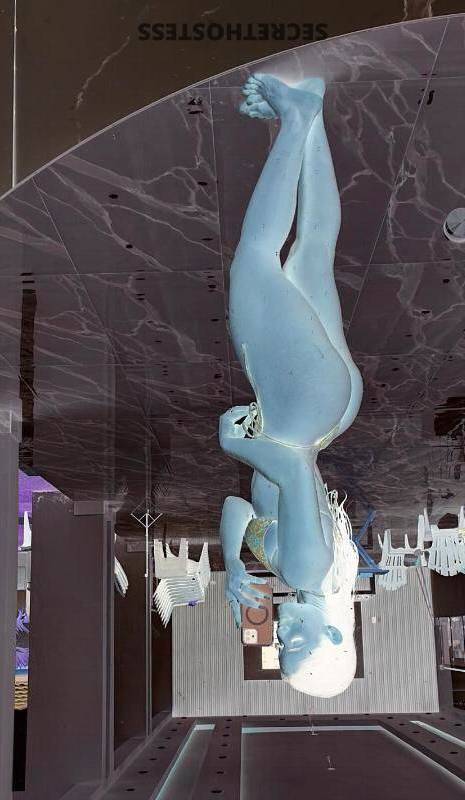 22Yrs Old Escort New York City NY Image - 3
