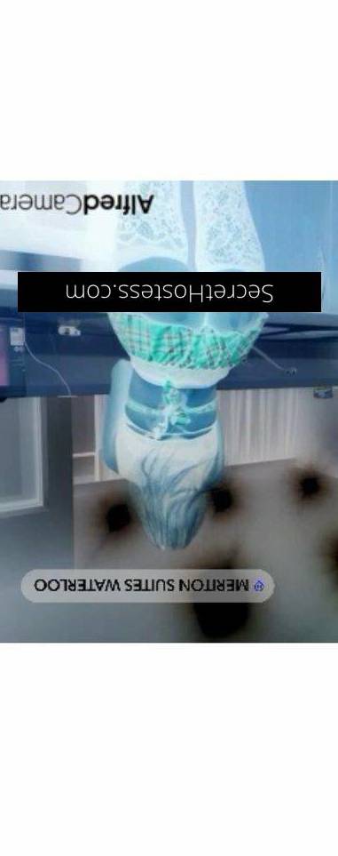 26Yrs Old Escort Size 6 Newcastle Image - 8