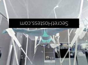 36 year old Escort in Darlinghurst Sydney Discover Bee, the Curvy from behind - innocent facade, Soft