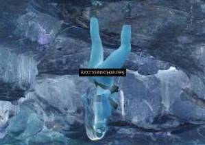 Angelina Paraguaya 29Yrs Old Escort 55KG 170CM Tall Mexico City Image - 1