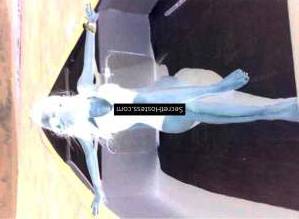 Rossa real woman 29Yrs Old Escort 46KG 159CM Tall Jakarta Image - 2