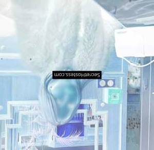 Antonia 26Yrs Old Escort 52KG 166CM Tall Vienna Image - 4