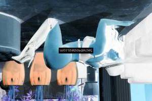 Rade 25Yrs Old Escort 55KG 160CM Tall Zadar Image - 9