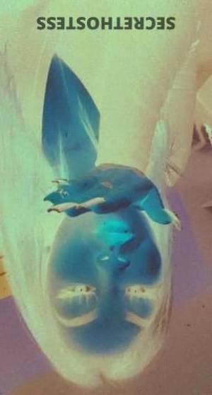 23 year old Indian Escort in Fresno CA Exotic Indian MILF