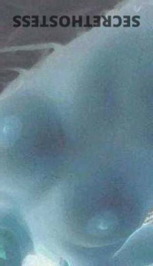 Ava 29Yrs Old Escort 165CM Tall Lexington KY Image - 2