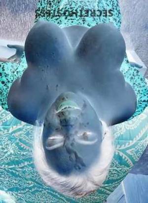 28 year old Latino Escort in Shreveport LA Unforgettable Pleasure Queen's Horny Holes All Yours