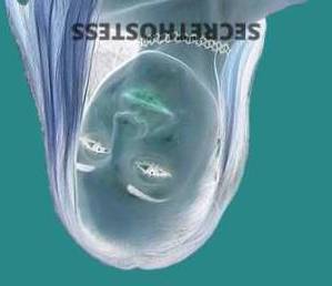 23 year old Australian Escort in Emu Heights Sydney Aussie girls for you