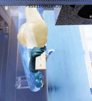 34 year old Escort in Spokane WA THROAT GOAT I ll suck it till it hiccups and make it spit up