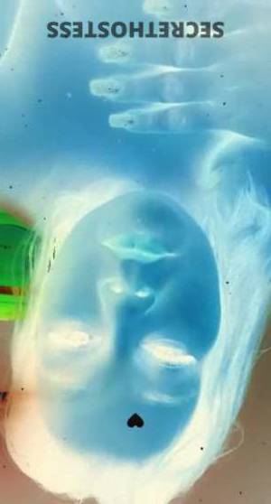 Becky 27Yrs Old Escort 165CM Tall Detroit MI Image - 9