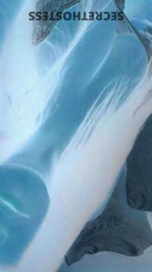 Mia 30Yrs Old Escort Keys FL Image - 3