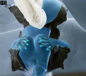 19Yrs Old Escort Mato Grosso do Sul Image - 2