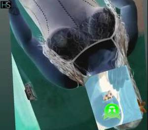 20 year old Mixed Escort in Sao Joao De Meriti Rio de Janeiro Discover me