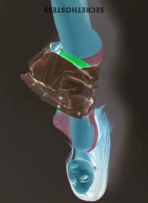 21 year old Ukrainian Escort in Moscow Avril