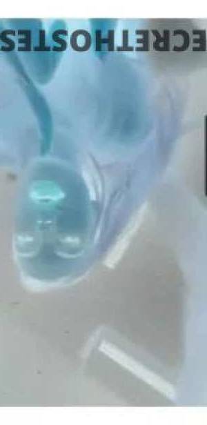 21Yrs Old Escort Brisbane Image - 6