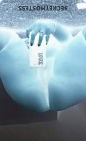 23 year old Asian Escort in Columbia SC Suki 5 Star Asian Cooch