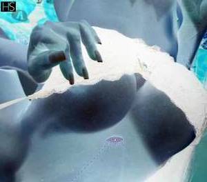 36Yrs Old Escort Rio Grande do Sul Image - 1