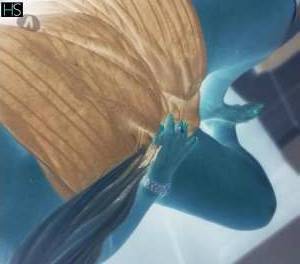 Blonde Milf Video Call 24hs Wild Positions in Mato Grosso do Sul