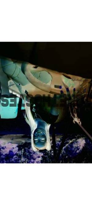 Diamond 20Yrs Old Escort 165CM Tall San Francisco CA Image - 1