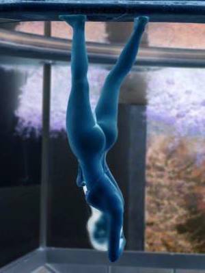 Universitaria Alisson, escort in Monterrey