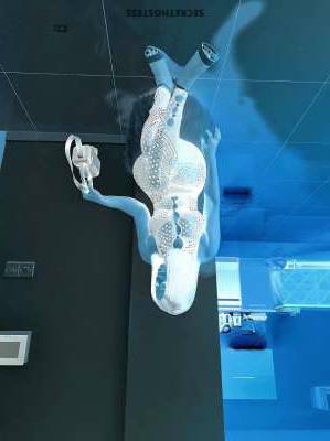 23 year old African Escort in Nicosia Amanda, escort