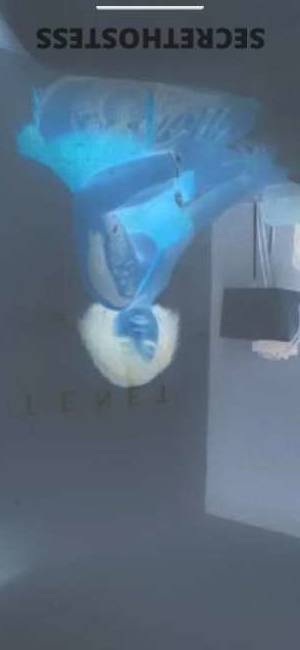 25 year old Cuban Escort in Knoxville TN Cuban Cutie