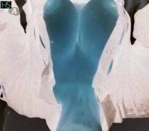 48Yrs Old Escort Santa Catarina Image - 1