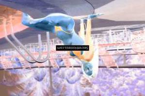 Amira 26Yrs Old Escort 50KG 167CM Tall Benalmadena Image - 4