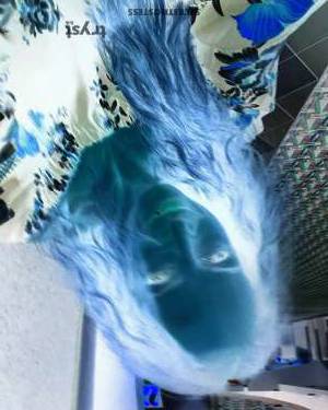 Dawna Mills 40Yrs Old Escort Phoenix AZ Image - 1