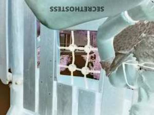 51 year old Escort in Catskills NY MILF for Hire